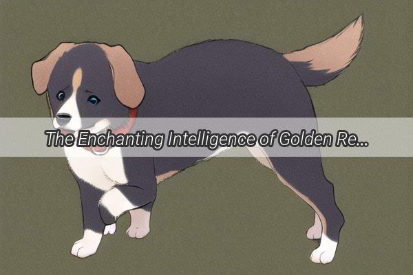 The Enchanting Intelligence of Golden Retrievers Unveiling the Brainy Pups of the Dog World